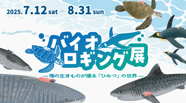 【共催】企画展「バイオロギング展 —海の生きものが撮る“ひみつ”の世界—」開催のお知らせ
